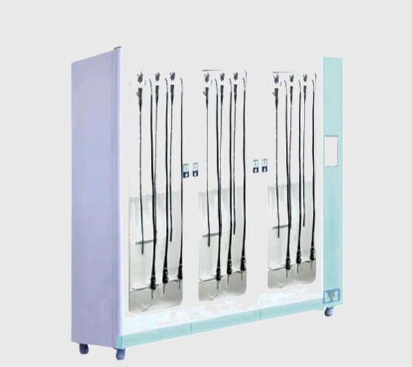 1691204404122237.jpg 草原最美的花.jpg